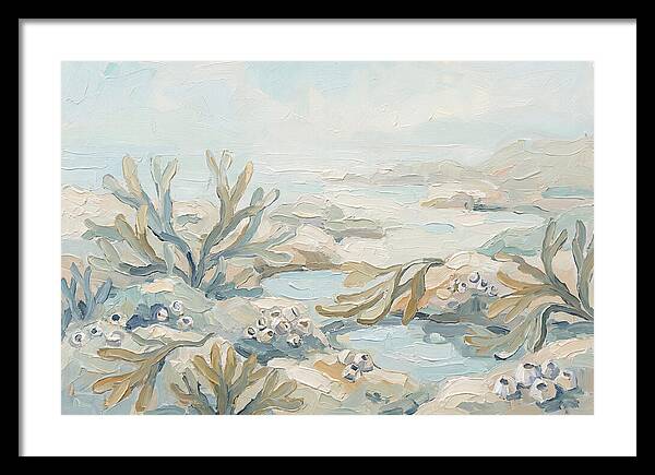 Intertidal Zone Life