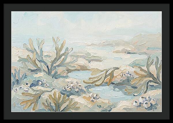 Intertidal Zone Life