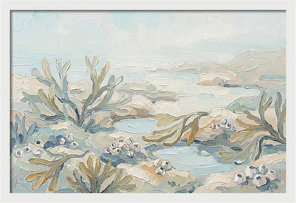 Intertidal Zone Life