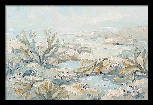 Intertidal Zone Life
