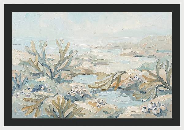 Intertidal Zone Life