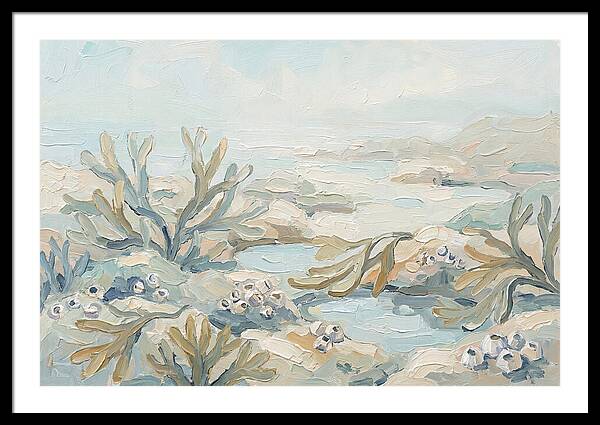 Intertidal Zone Life