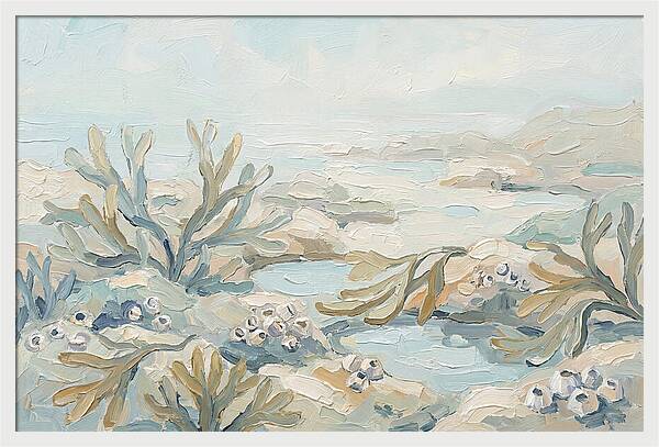 Intertidal Zone Life