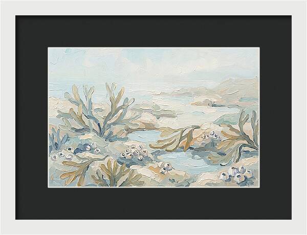 Intertidal Zone Life