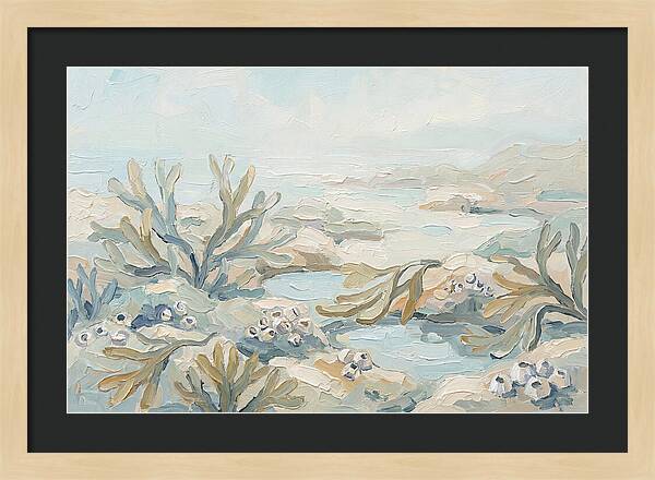 Intertidal Zone Life