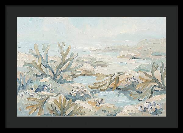 Intertidal Zone Life