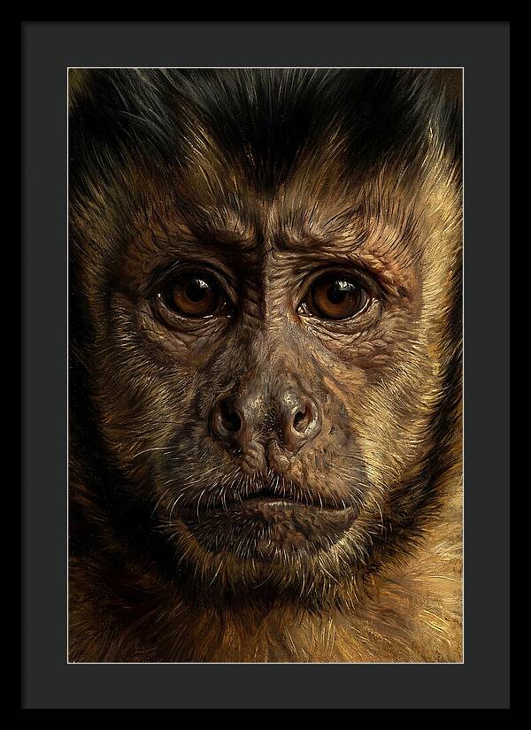 Intimate Capuchin Monkey Portrait