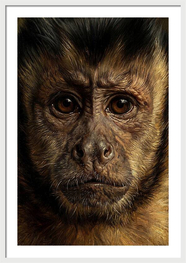 Intimate Capuchin Monkey Portrait