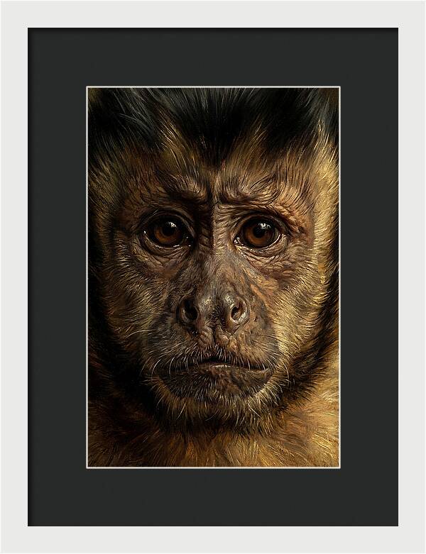 Intimate Capuchin Monkey Portrait