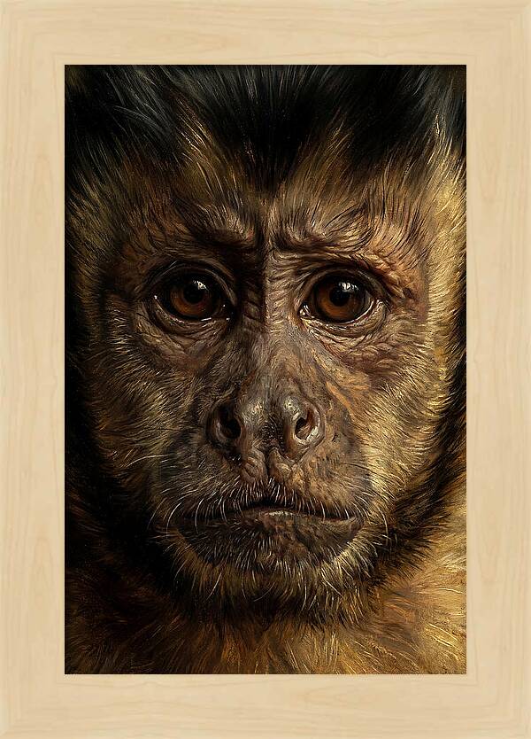 Intimate Capuchin Monkey Portrait