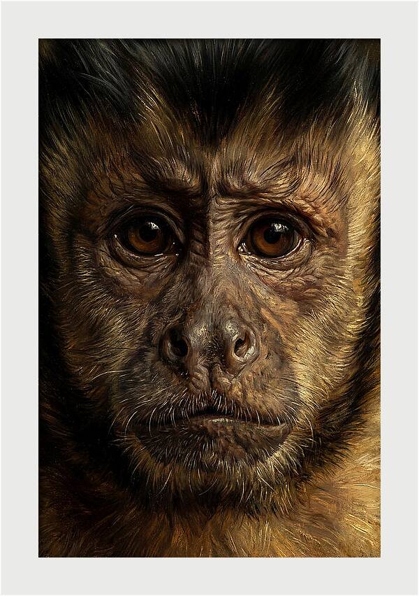 Intimate Capuchin Monkey Portrait
