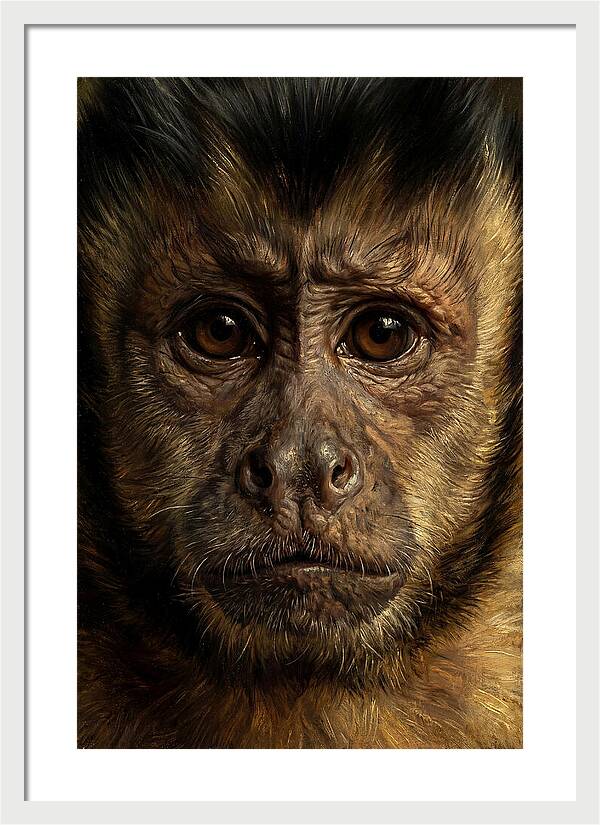 Intimate Capuchin Monkey Portrait