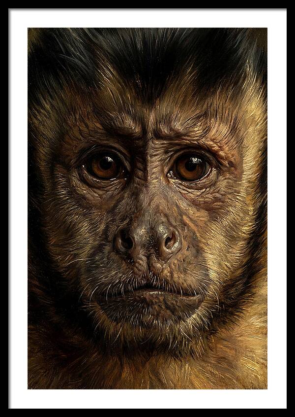 Intimate Capuchin Monkey Portrait