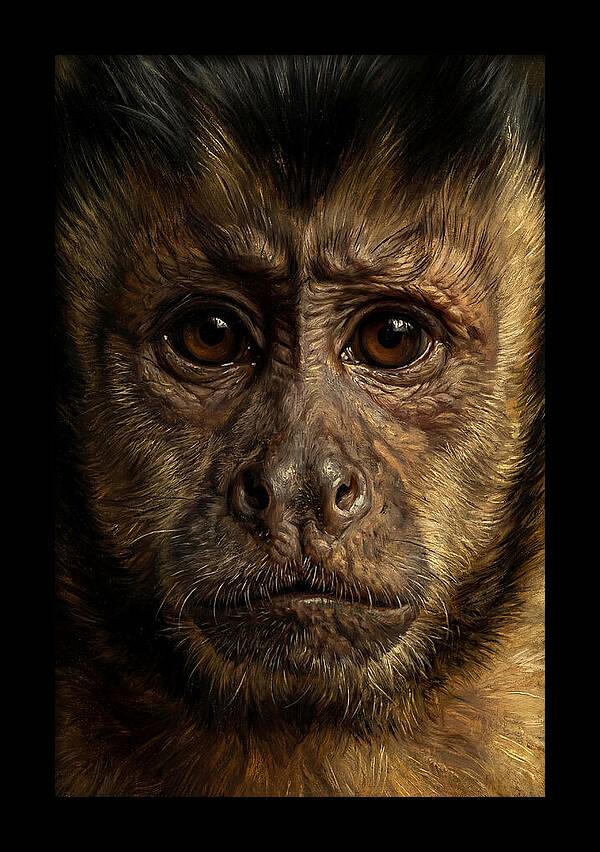 Intimate Capuchin Monkey Portrait