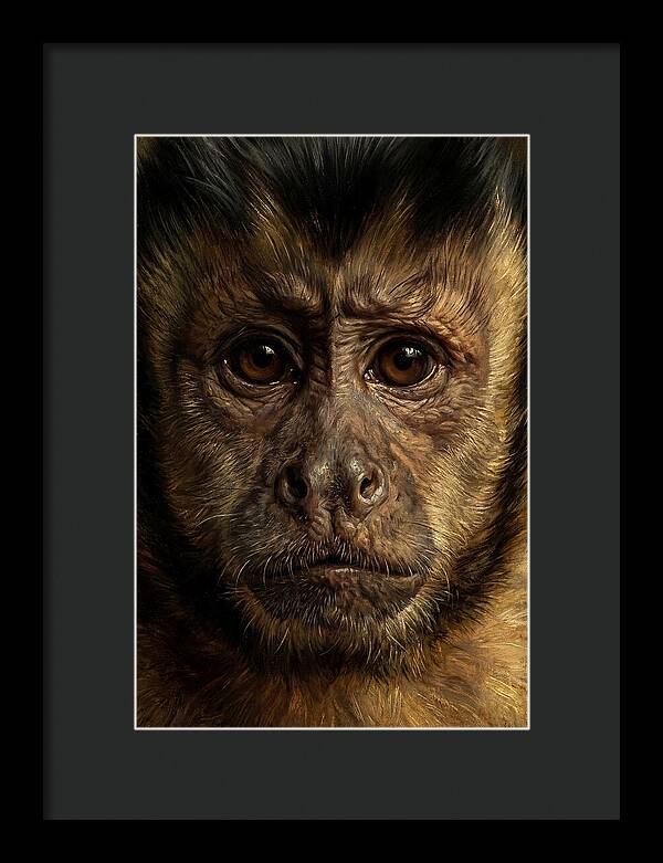 Intimate Capuchin Monkey Portrait