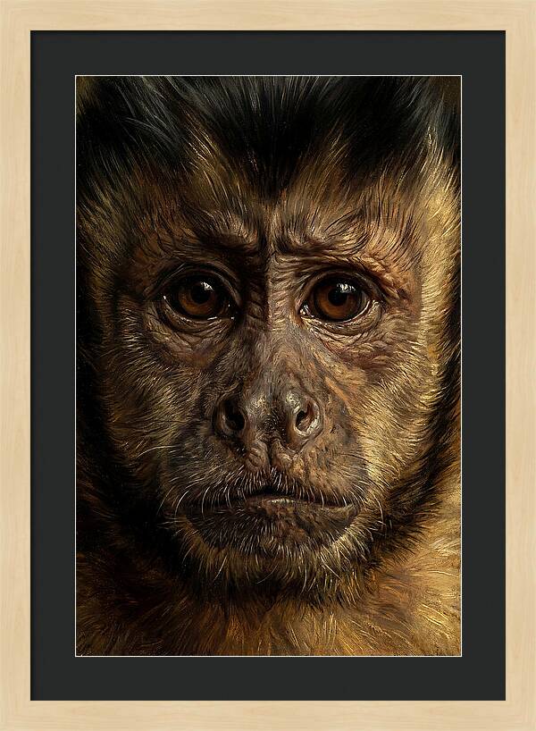 Intimate Capuchin Monkey Portrait