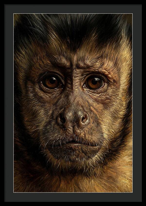 Intimate Capuchin Monkey Portrait