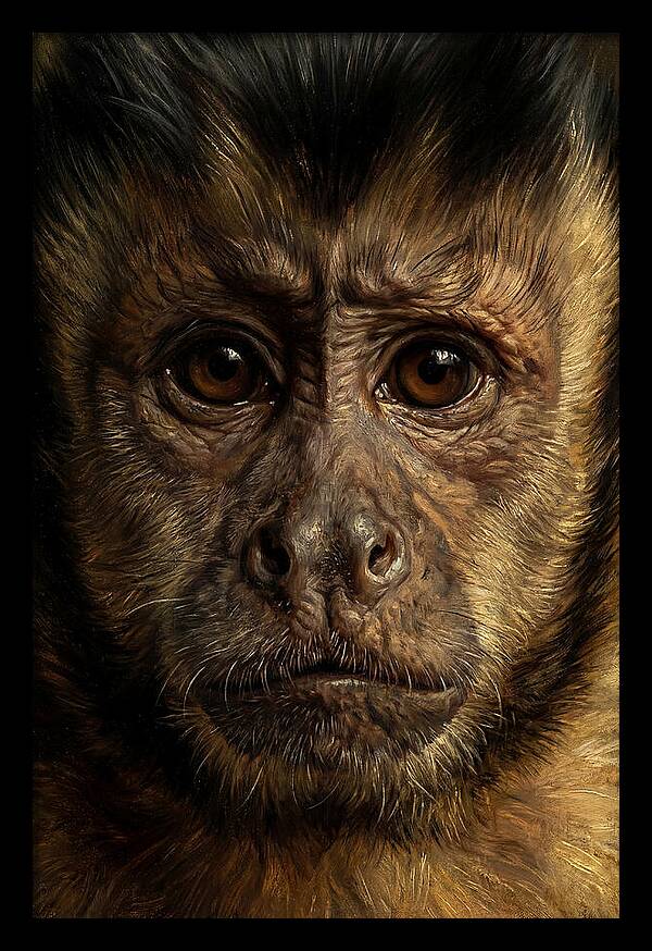 Intimate Capuchin Monkey Portrait