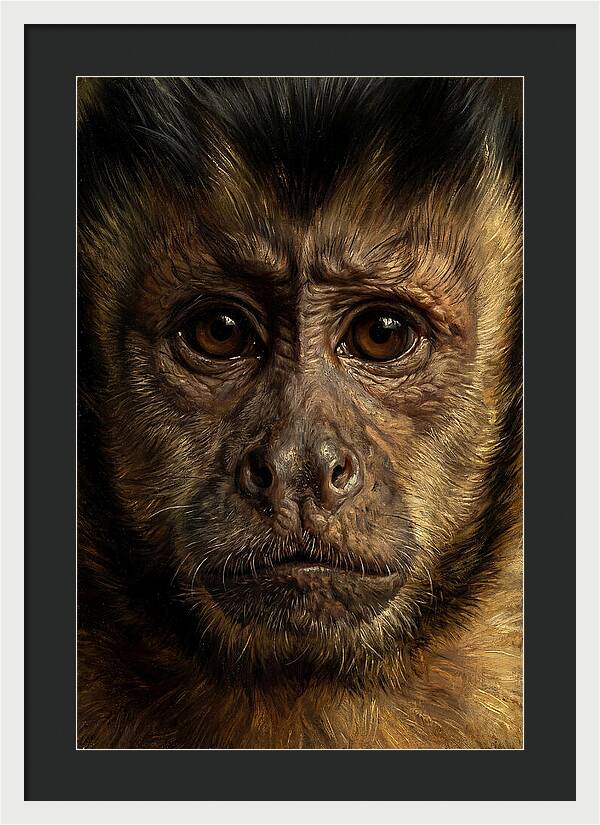 Intimate Capuchin Monkey Portrait