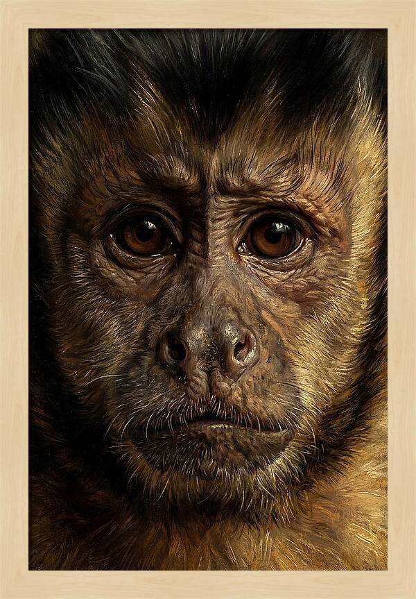 Intimate Capuchin Monkey Portrait