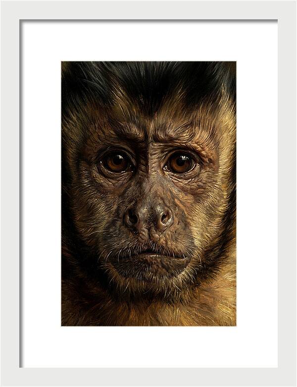 Intimate Capuchin Monkey Portrait