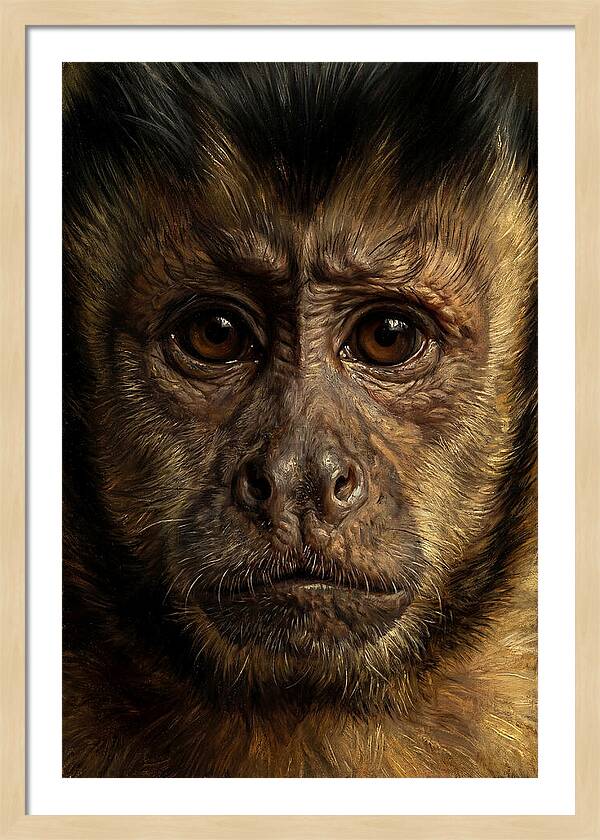 Intimate Capuchin Monkey Portrait