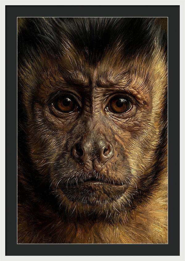 Intimate Capuchin Monkey Portrait
