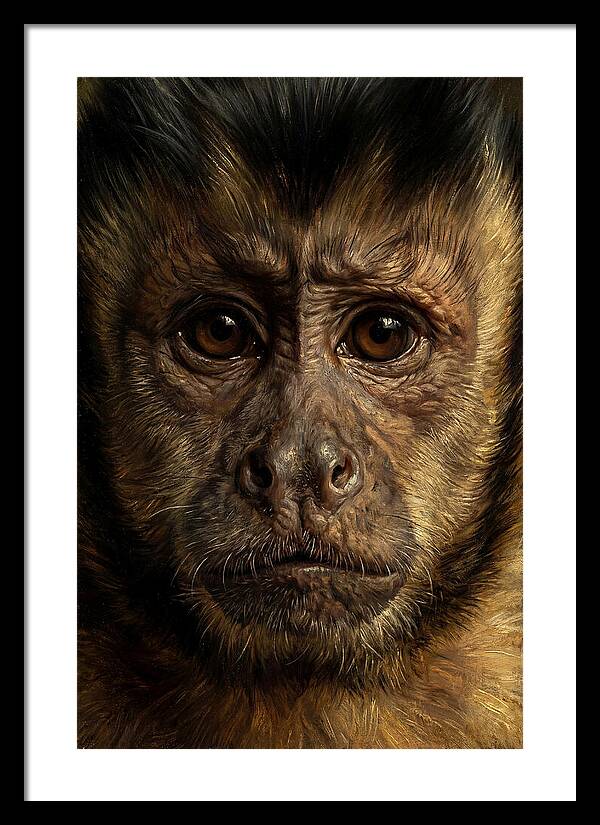 Intimate Capuchin Monkey Portrait
