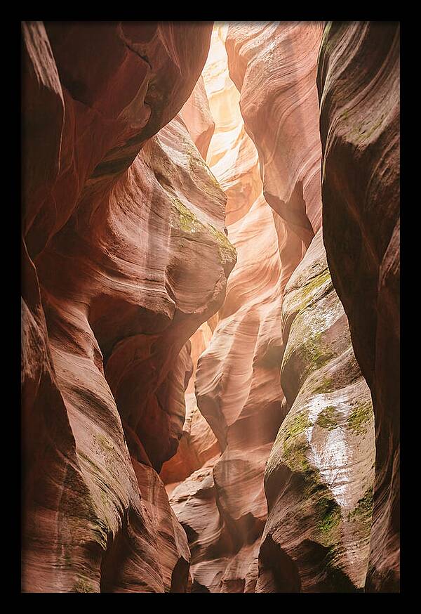 Intimate Light Passage In Zion