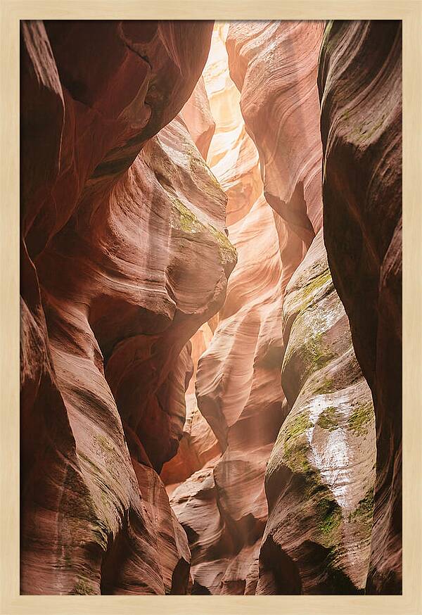 Intimate Light Passage In Zion