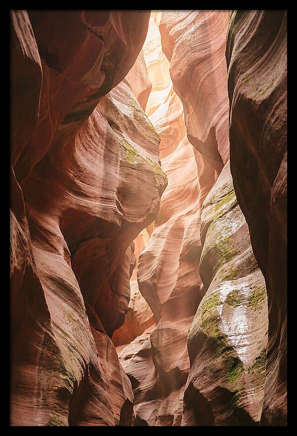 Intimate Light Passage In Zion