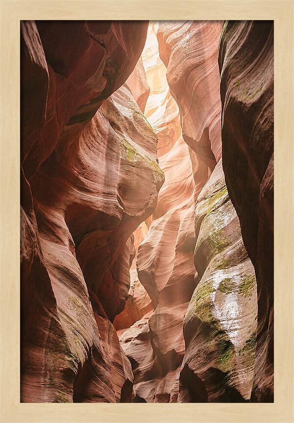 Intimate Light Passage In Zion