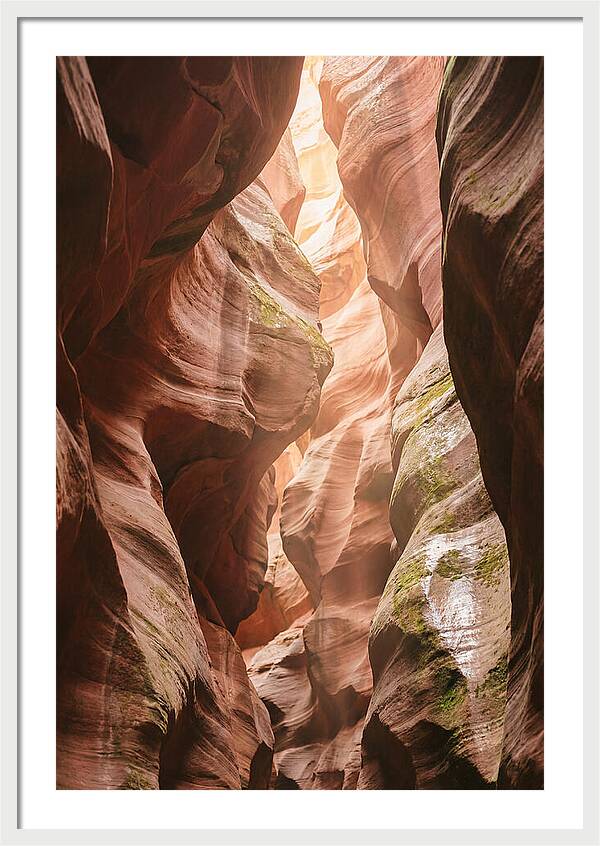 Intimate Light Passage In Zion