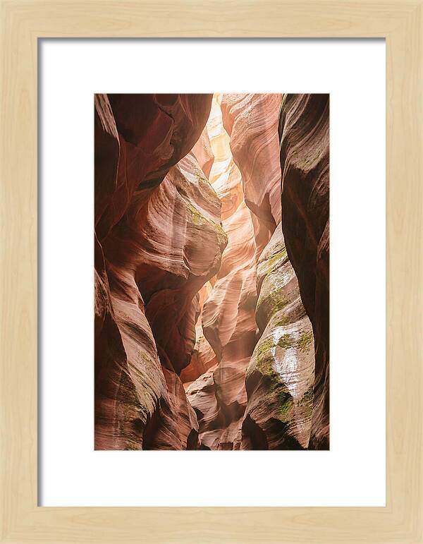 Intimate Light Passage In Zion
