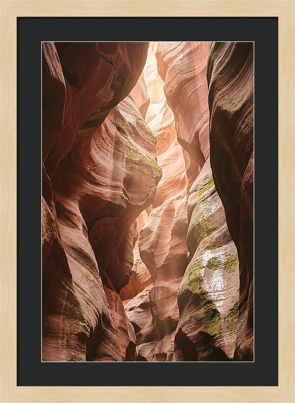 Intimate Light Passage In Zion