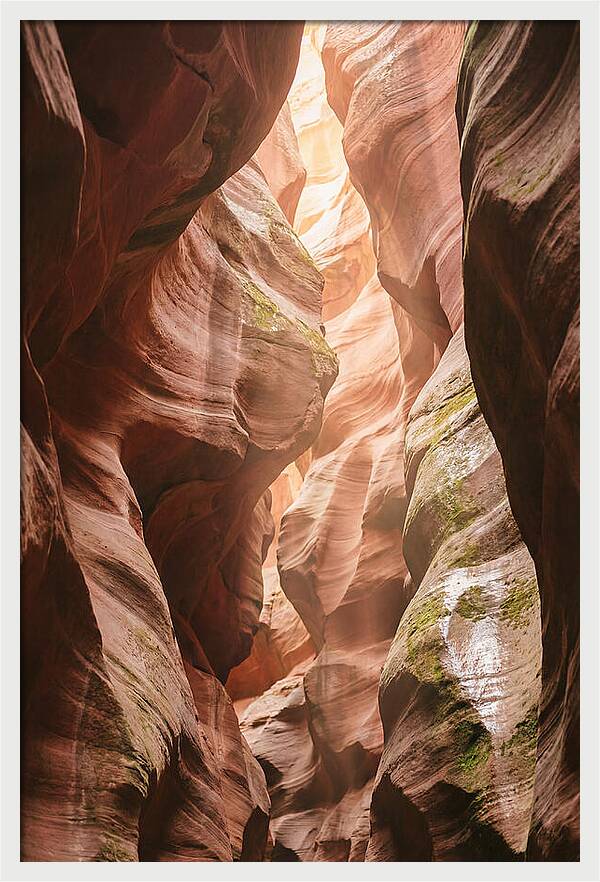 Intimate Light Passage In Zion