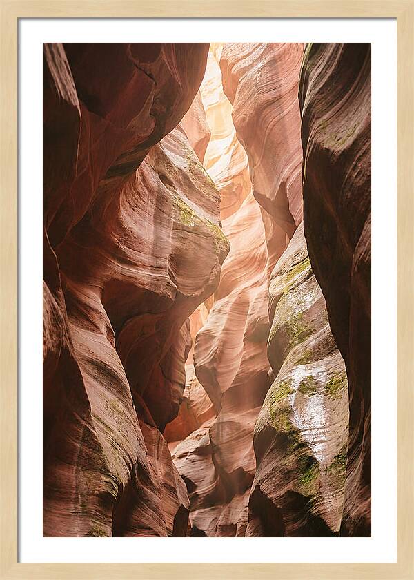 Intimate Light Passage In Zion