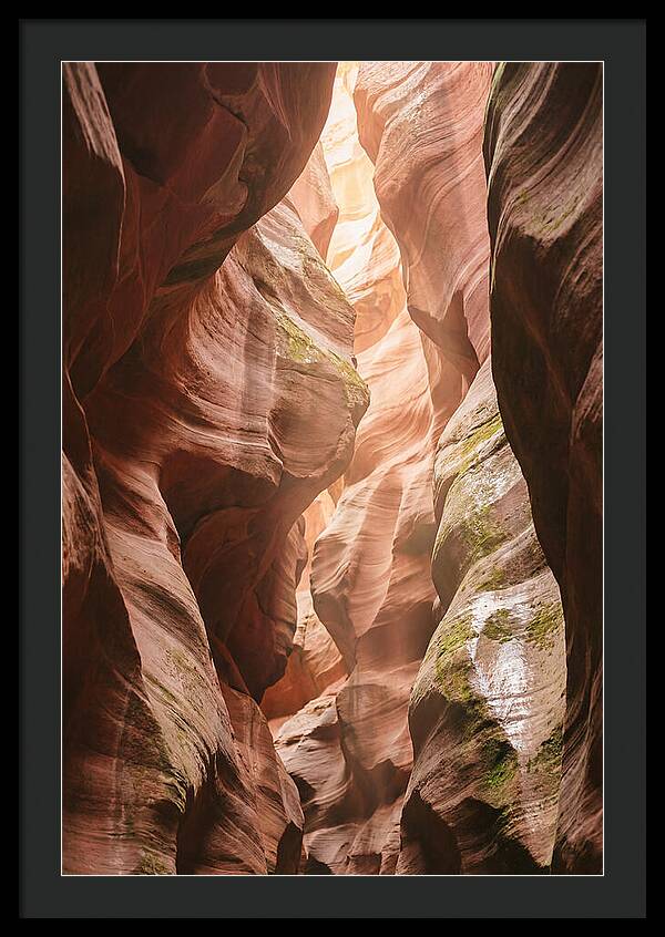 Intimate Light Passage In Zion