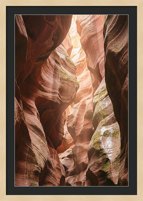 Intimate Light Passage In Zion