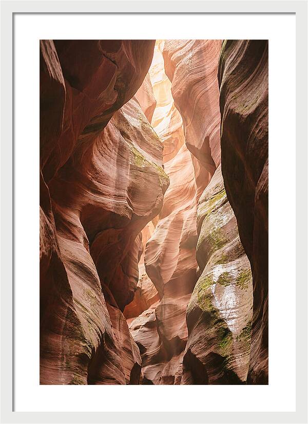 Intimate Light Passage In Zion