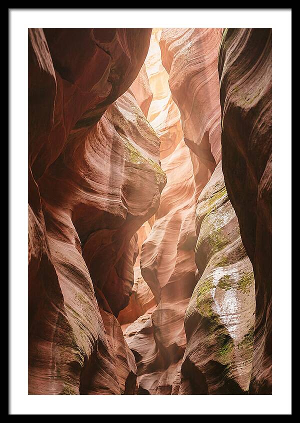 Intimate Light Passage In Zion