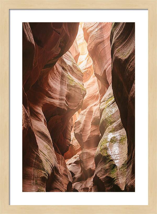 Intimate Light Passage In Zion