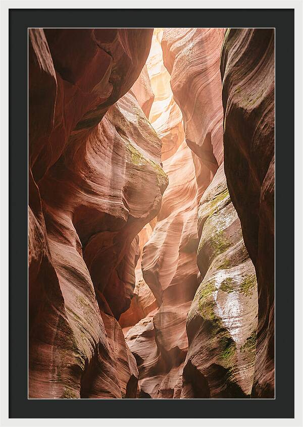 Intimate Light Passage In Zion