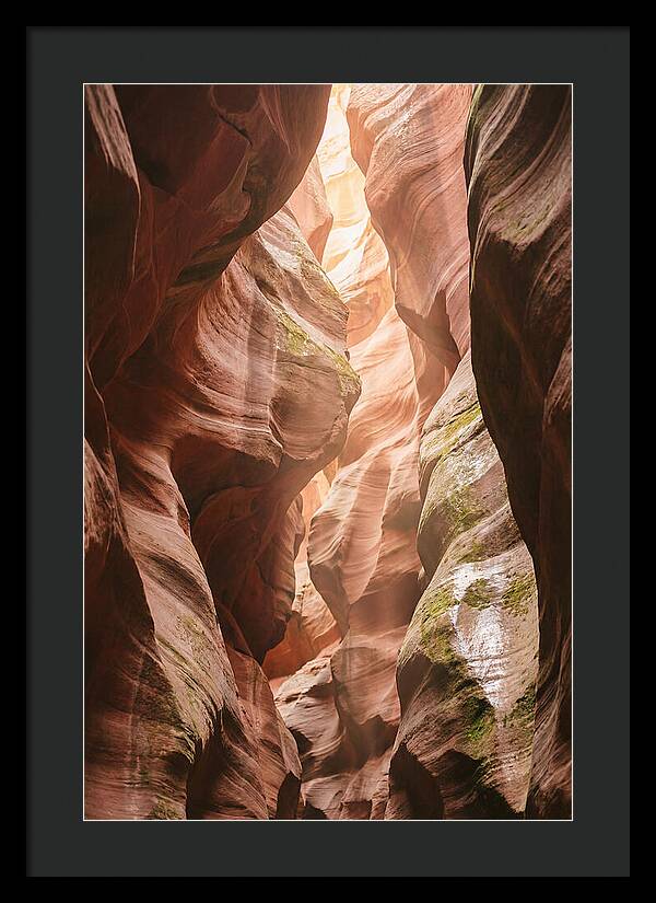 Intimate Light Passage In Zion