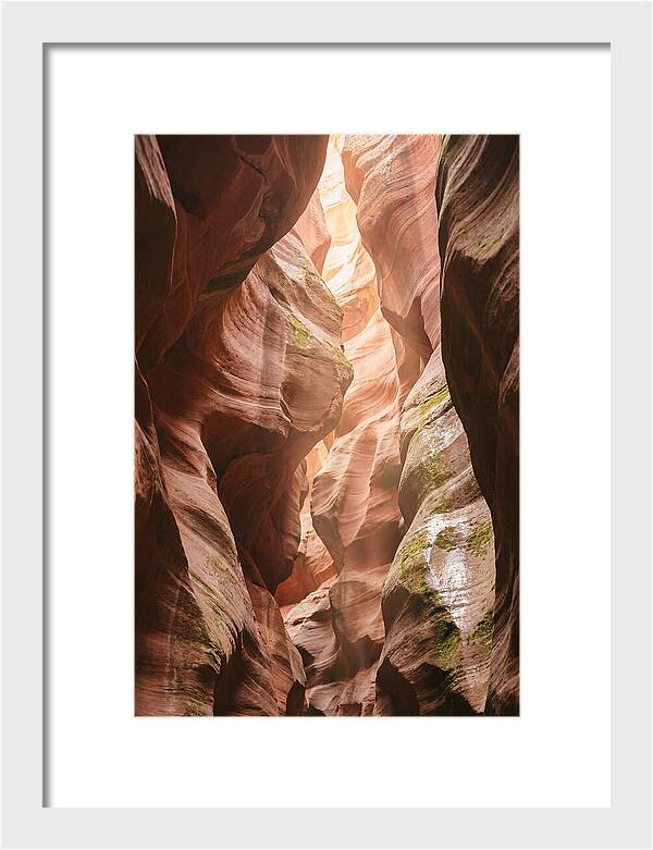 Intimate Light Passage In Zion