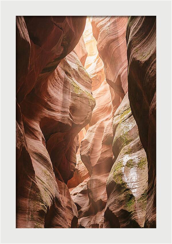Intimate Light Passage In Zion