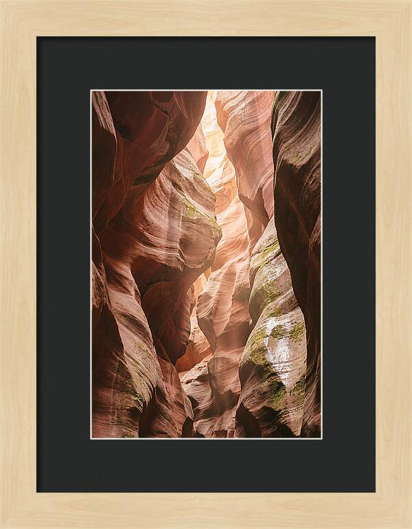 Intimate Light Passage In Zion