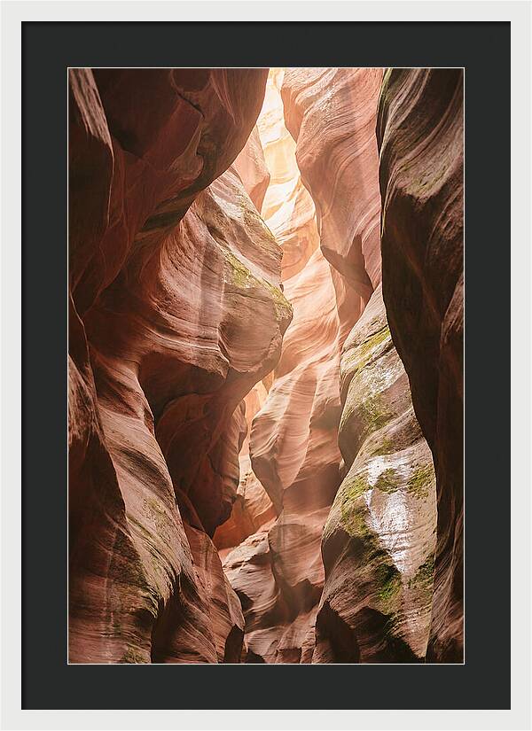 Intimate Light Passage In Zion