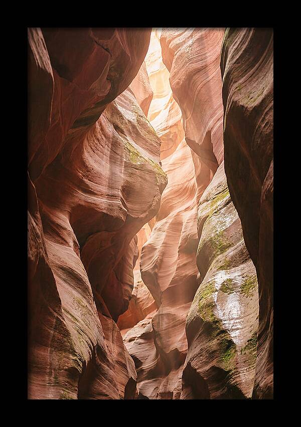 Intimate Light Passage In Zion