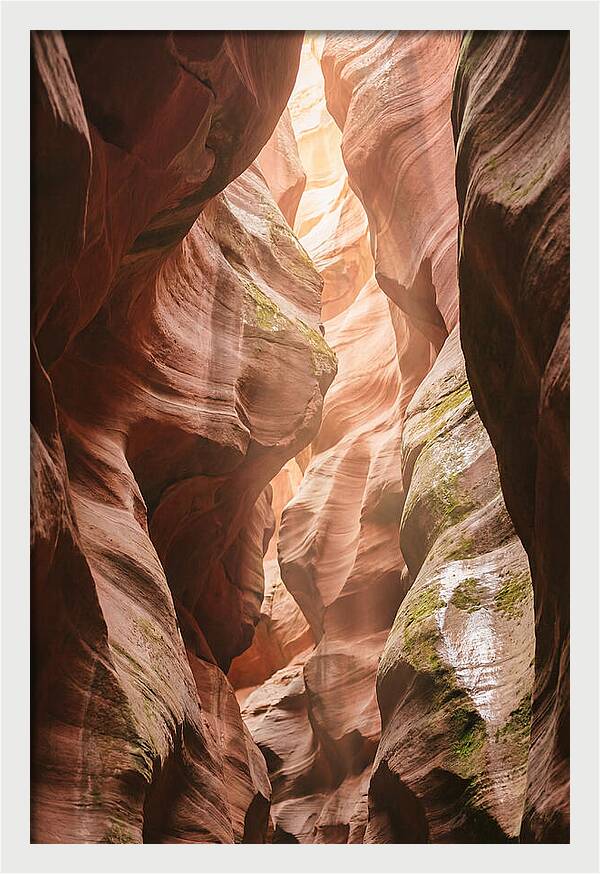 Intimate Light Passage In Zion